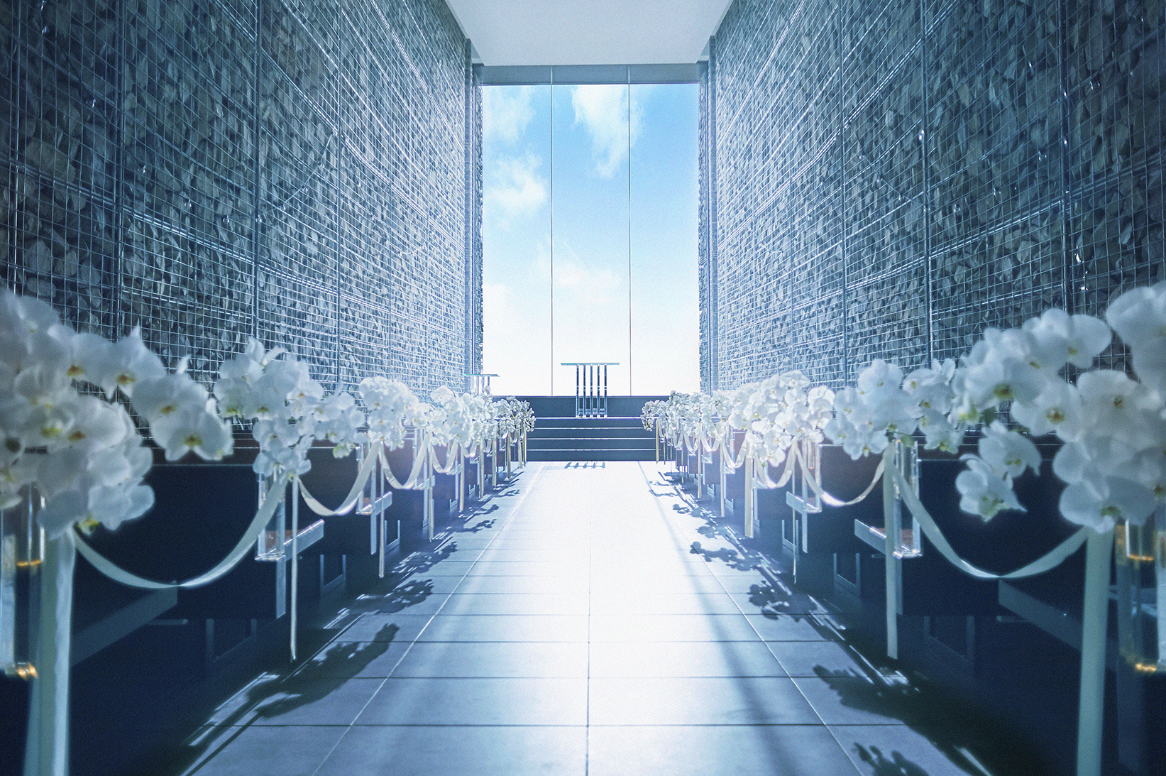 solaﾁｬﾍﾟﾙs